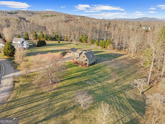 153 Whistle Pig Ter, Blairsville, GA 30512 - drone / aerial view with a mountain view and a view of trees