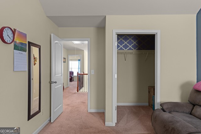 view of closet