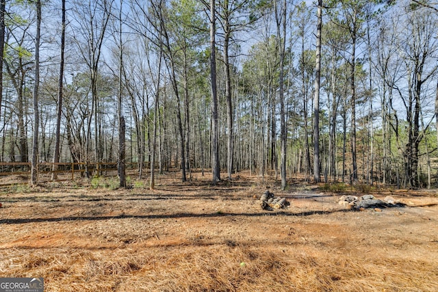 132 Pinnacle Way, Carrollton, GA 30117 - view of nature featuring a forest view