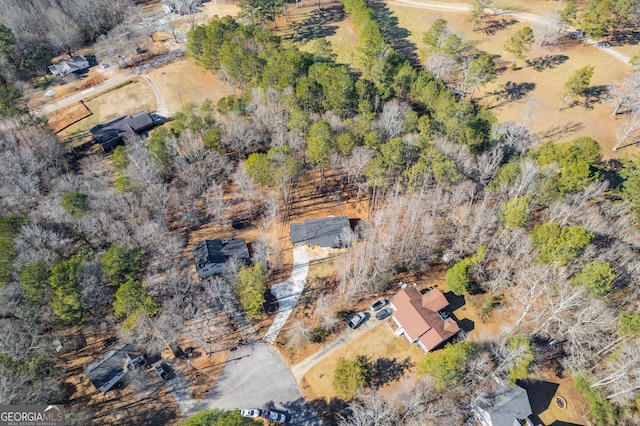 132 Pinnacle Way, Carrollton, GA 30117 - bird's eye view