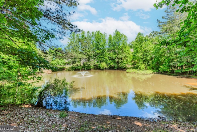 1351 Ashbury Park Dr, Hoschton, GA 30548 - water view