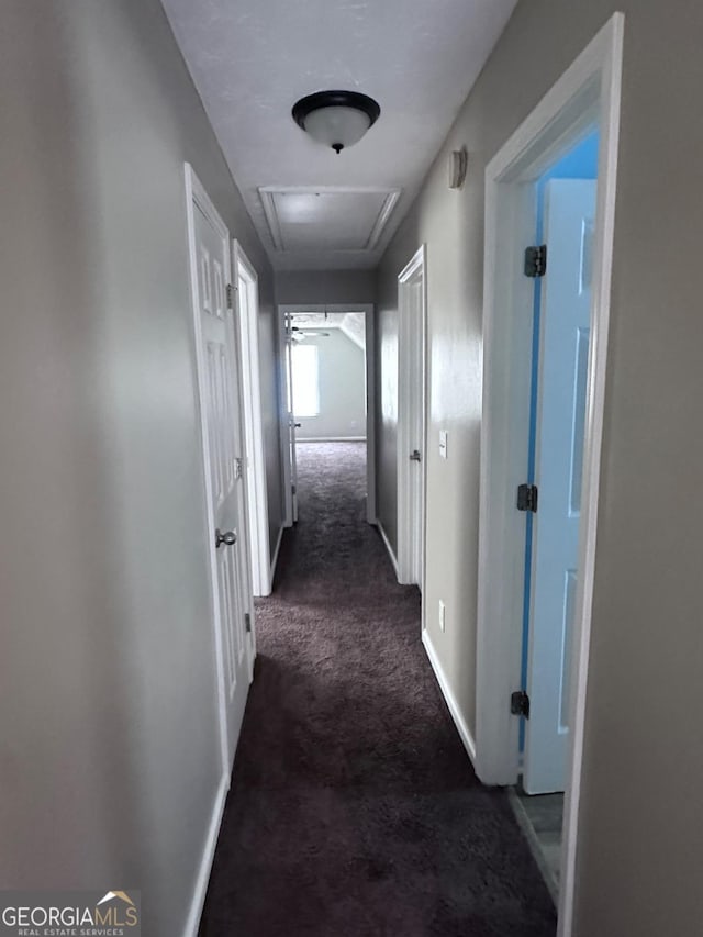 hallway featuring attic access, carpet, and baseboards