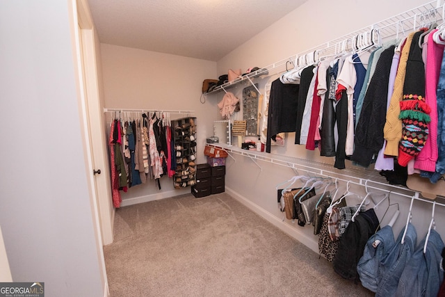 walk in closet featuring carpet floors