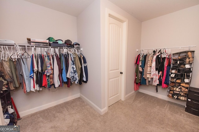 spacious closet with carpet