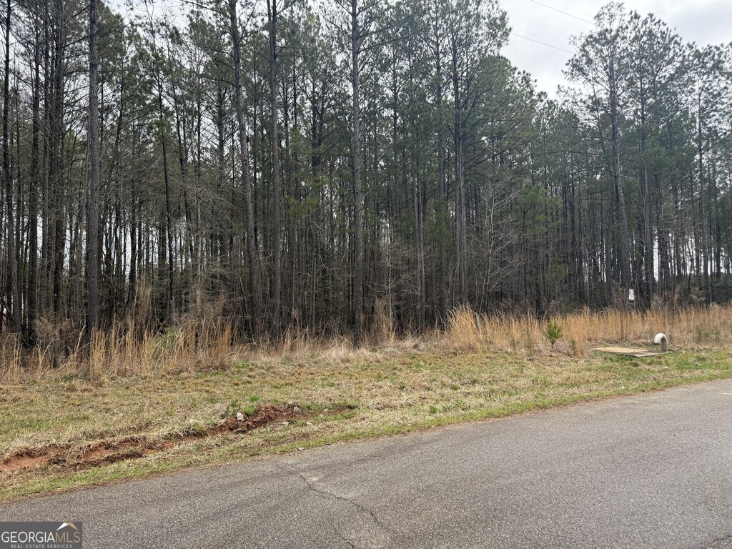 171 Preservation Dr, Jackson, GA 30233
