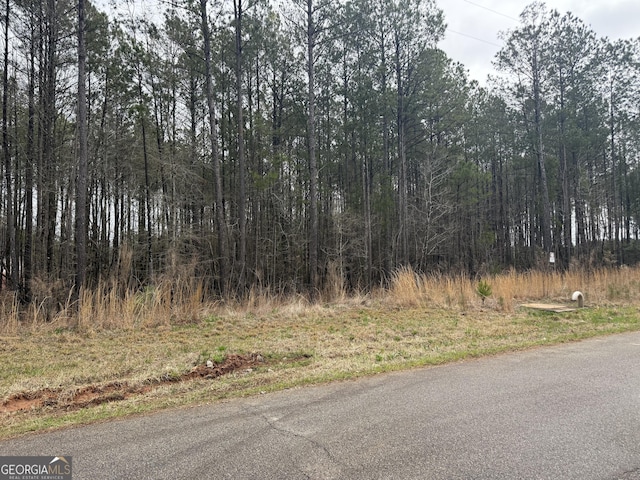 171 Preservation Dr, Jackson, GA 30233