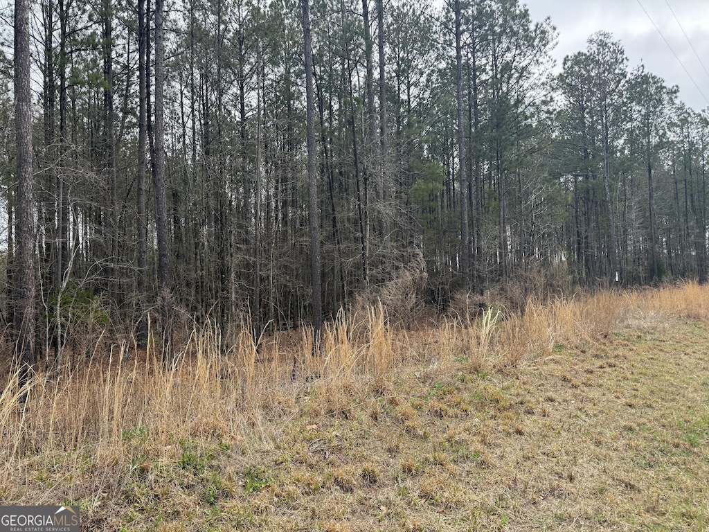 171 Preservation Dr, Jackson, GA 30233