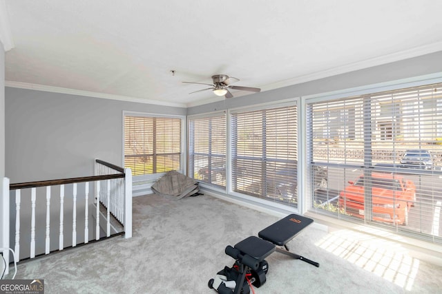 workout room featuring baseboards, ornamental molding, carpet floors, and ceiling fan