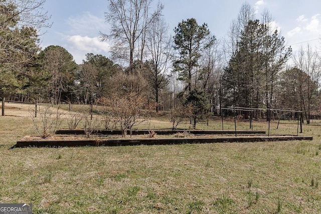 36 Blackthorn Ln, Colbert, GA 30628 - view of green lawn