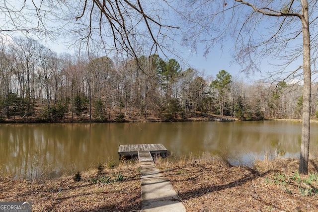 36 Blackthorn Ln, Colbert, GA 30628 - dock with a water view and a forest view