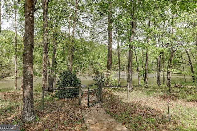 36 Blackthorn Ln, Colbert, GA 30628 - view of yard featuring a wooded view