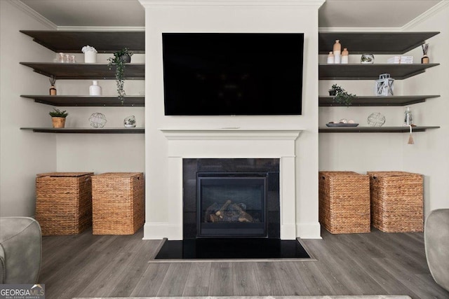 372 Garnet Dr, Acworth, GA 30101 - detailed view of ornamental molding, wood finished floors, and a fireplace with flush hearth