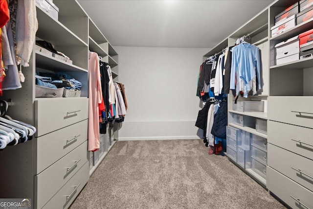 372 Garnet Dr, Acworth, GA 30101 - walk in closet featuring carpet flooring
