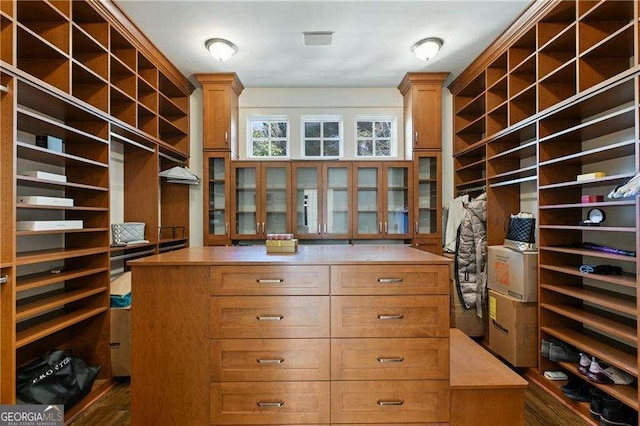 spacious closet with ornate columns