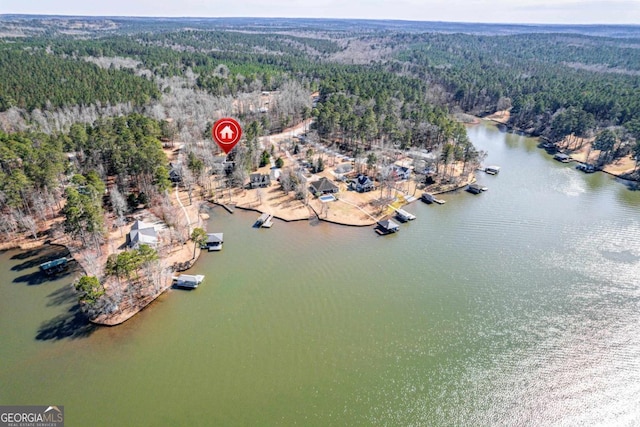 birds eye view of property featuring a water view and a view of trees