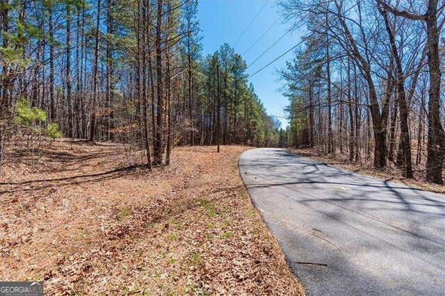 0 Snote Jones Rd, Dallas, GA 30132
