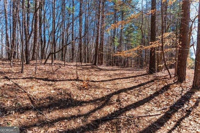 0 Snote Jones Rd, Dallas, GA 30132