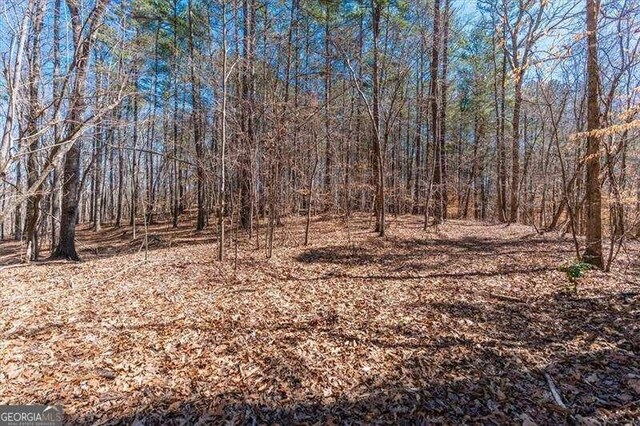 0 Snote Jones Rd, Dallas, GA 30132