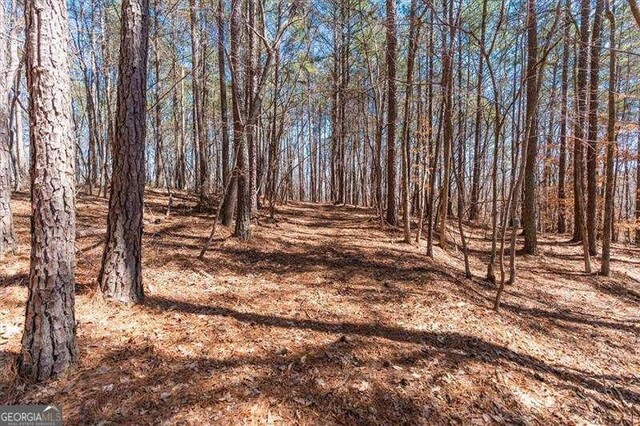 0 Snote Jones Rd, Dallas, GA 30132
