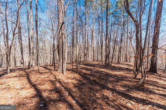 0 Snote Jones Rd, Dallas, GA 30132
