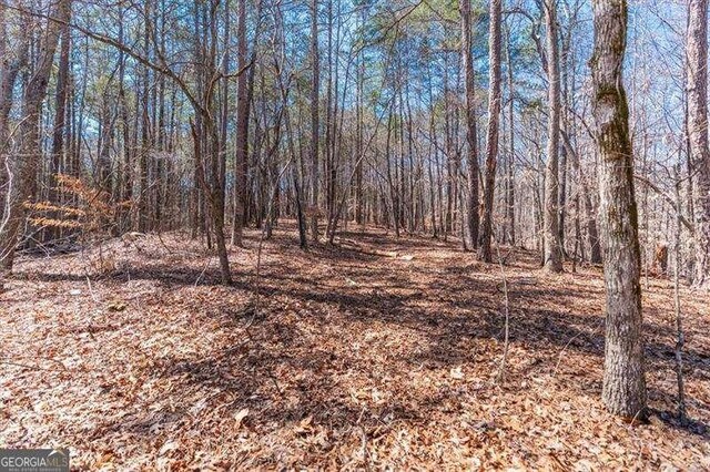 0 Snote Jones Rd, Dallas, GA 30132