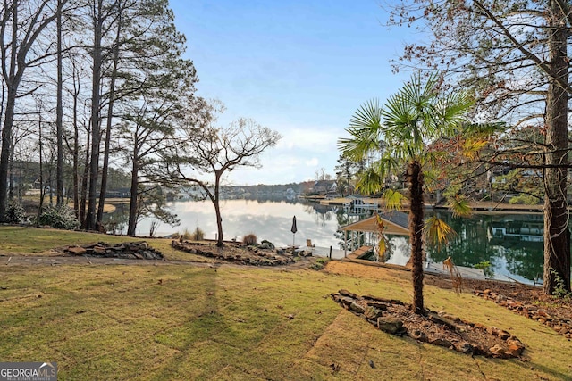 1190 Plantation Dr, Villa Rica, GA 30180 - view of yard featuring a water view