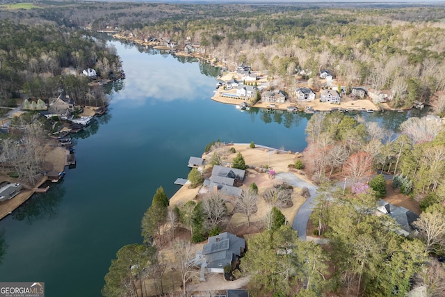 1190 Plantation Dr, Villa Rica, GA 30180 - aerial view featuring a wooded view and a water view