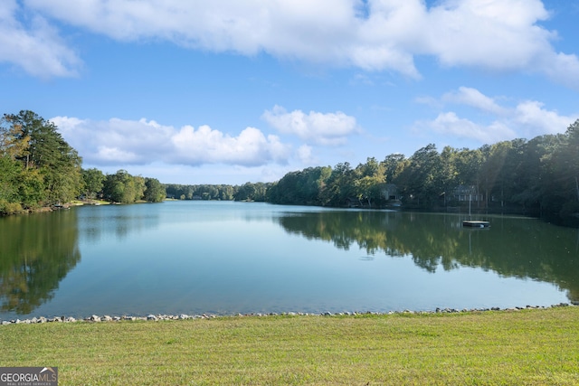 1190 Plantation Dr, Villa Rica, GA 30180 - water view with a view of trees