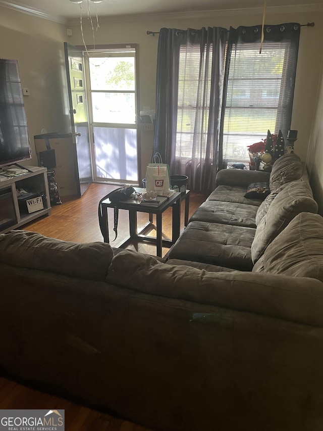 living area featuring crown molding and wood finished floors