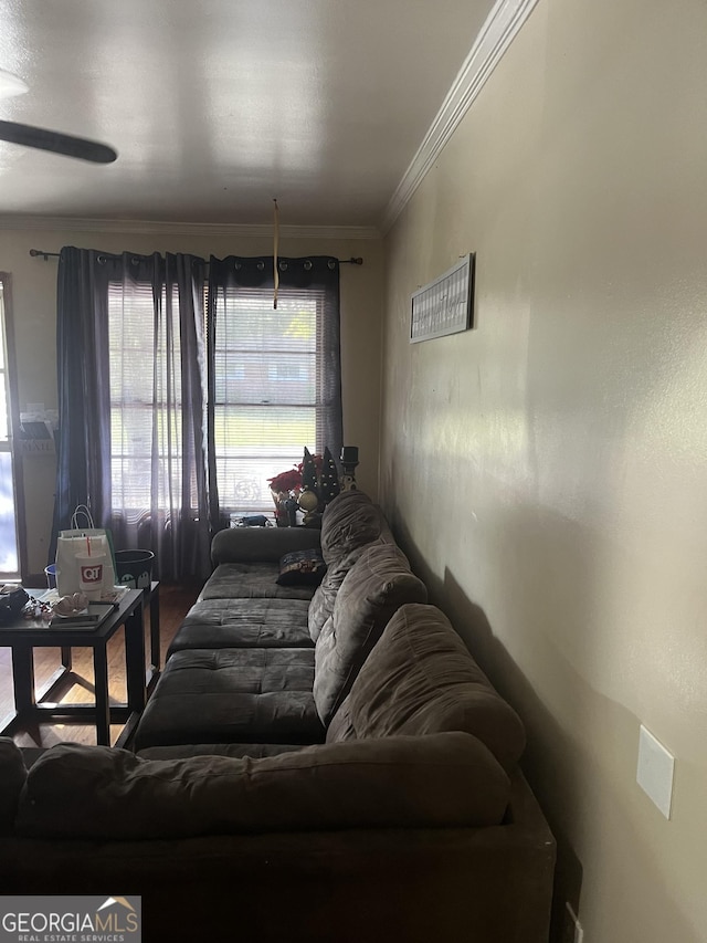 living room with crown molding and ceiling fan