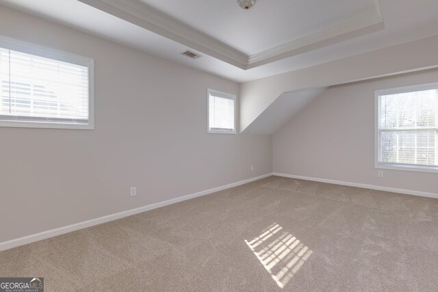 additional living space featuring light colored carpet, visible vents, and baseboards