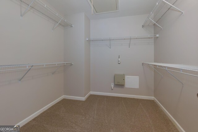 spacious closet with carpet