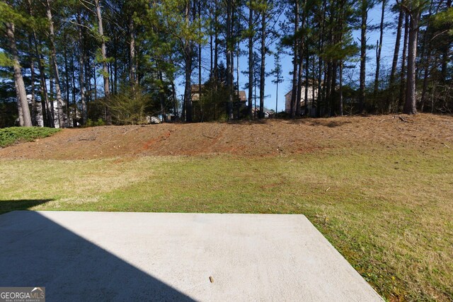 view of yard featuring a patio area