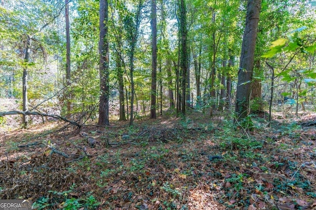 3494 Boulder Park Dr SW, Atlanta, GA 30331