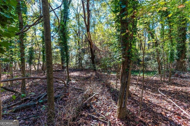 3494 Boulder Park Dr SW, Atlanta, GA 30331