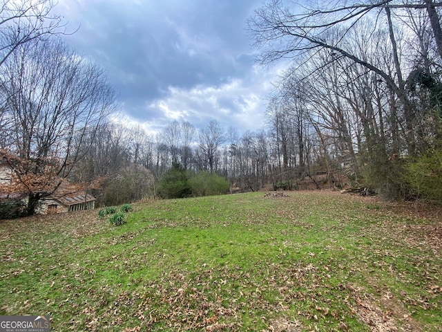 3515 S Bend Rd, Gainesville, GA 30506 - view of yard