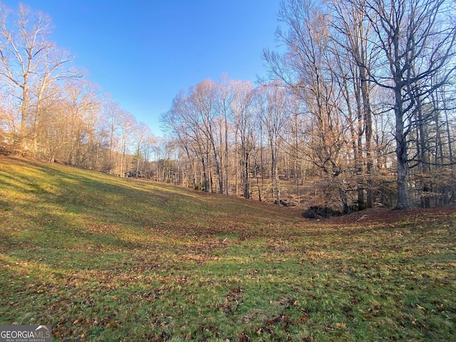 3515 S Bend Rd, Gainesville, GA 30506 - view of green lawn