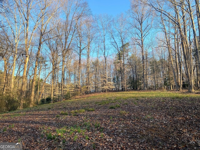 3515 S Bend Rd, Gainesville, GA 30506 - view of wooded area