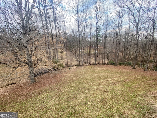 3515 S Bend Rd, Gainesville, GA 30506 - view of yard