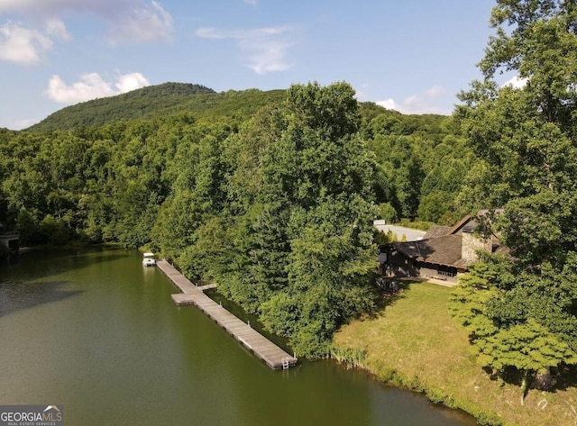 58 Mountainside Dr, Cleveland, GA 30528