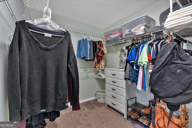 81 Summer Creek Dr, Dallas, GA 30157 - spacious closet with carpet floors