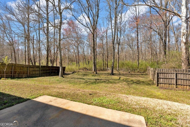81 Summer Creek Dr, Dallas, GA 30157 - view of yard featuring a patio area and a fenced backyard