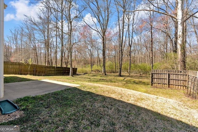 81 Summer Creek Dr, Dallas, GA 30157 - view of yard with a fenced backyard and a patio area