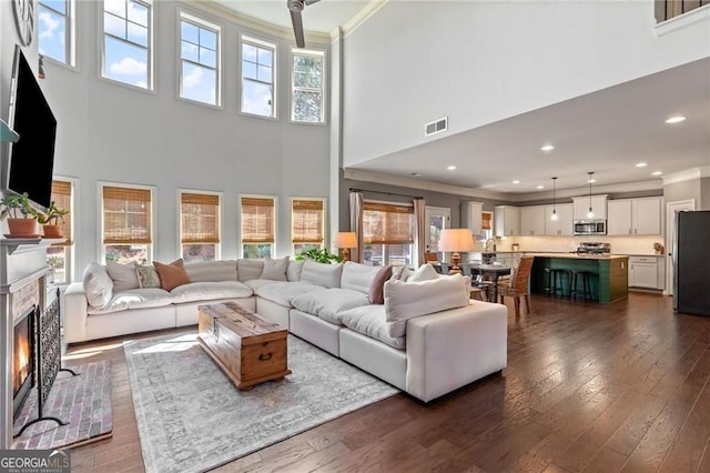 9085 Maple Run Trl, Gainesville, GA 30506 - living area featuring ornamental molding, a towering ceiling, a fireplace with flush hearth, dark wood-style floors, and recessed lighting