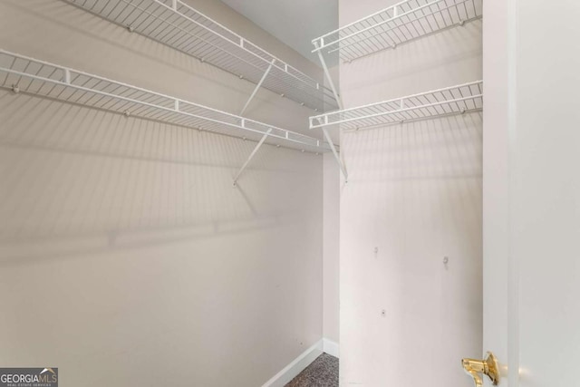 195 14th St NE Unit 1404, Atlanta, GA 30309 - spacious closet with carpet floors