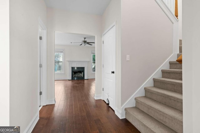 675 Timber Ives Dr, Dacula, GA 30019 - hallway with dark wood-style floors, stairs, and baseboards