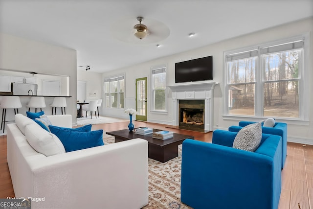 675 Timber Ives Dr, Dacula, GA 30019 - living room featuring a premium fireplace, wood finished floors, ceiling fan, and baseboards