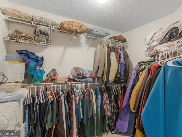 view of spacious closet