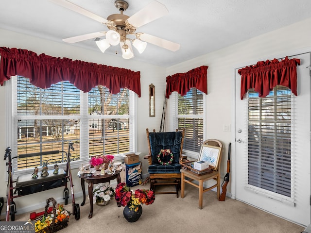 sitting room with ceiling fan and carpet floors