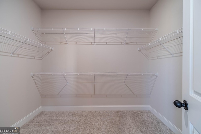 spacious closet with carpet flooring